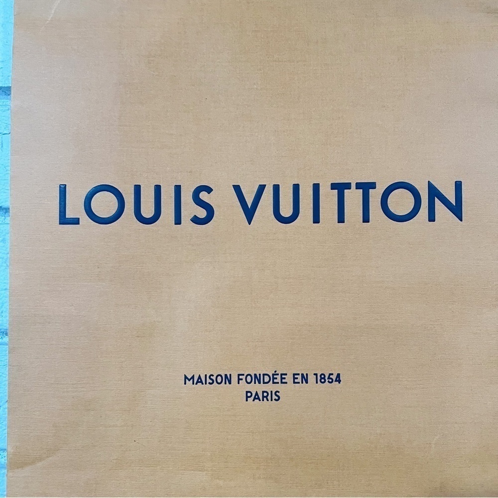 Louis Vuitton Paper Shopping Bag - Picture 3 of 5